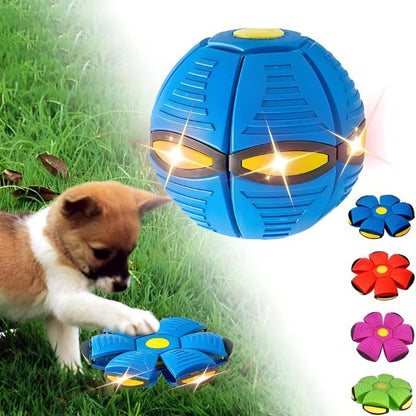 Doggy Disc Ball - ¡Diversión Infinita para Perros!